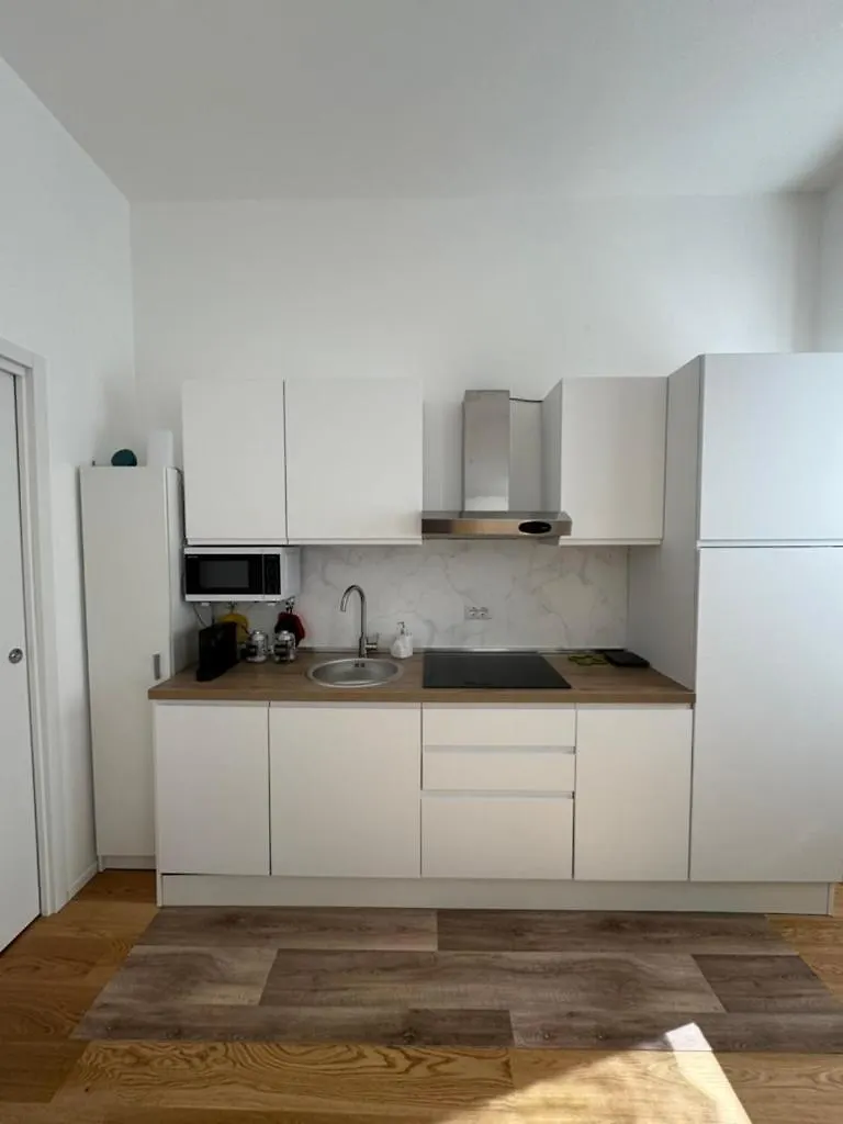 Domus Romana Prati Apartment Rome